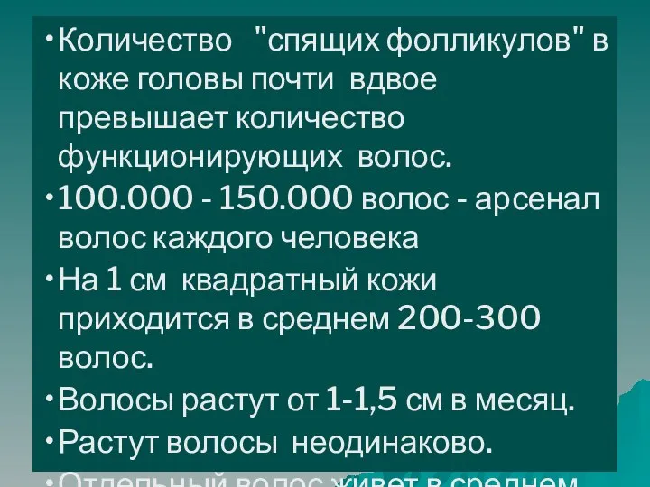 Количество "спящих фолликулов" в коже головы почти вдвое превышает количество функционирующих