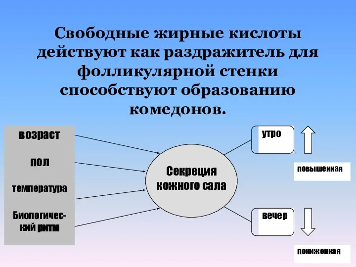 Свободные жирные кислоты действуют как раздражитель для фолликулярной стенки способствуют образованию комедонов.