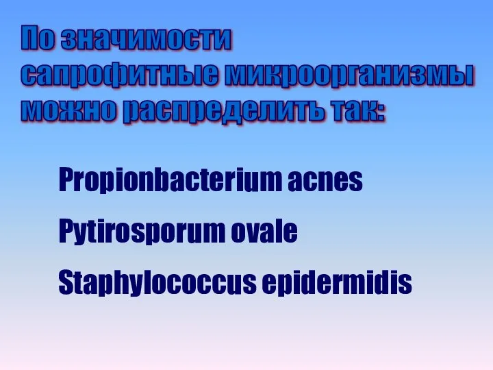 По значимости сапрофитные микроорганизмы можно распределить так: Propionbacterium acnes Pytirosporum ovale Staphylococcus epidermidis