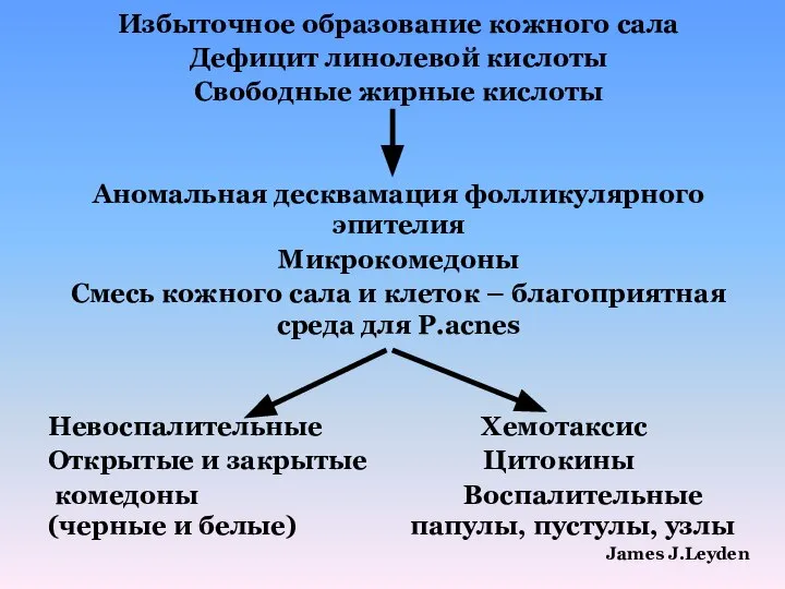 Избыточное образование кожного сала Дефицит линолевой кислоты Свободные жирные кислоты Аномальная