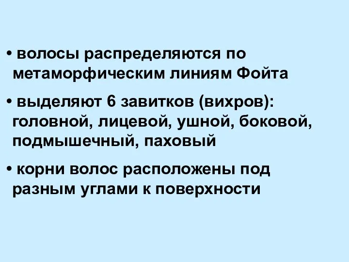 волосы распределяются по метаморфическим линиям Фойта выделяют 6 завитков (вихров): головной,