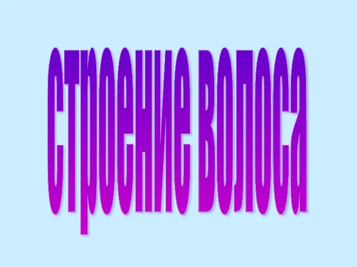 строение волоса