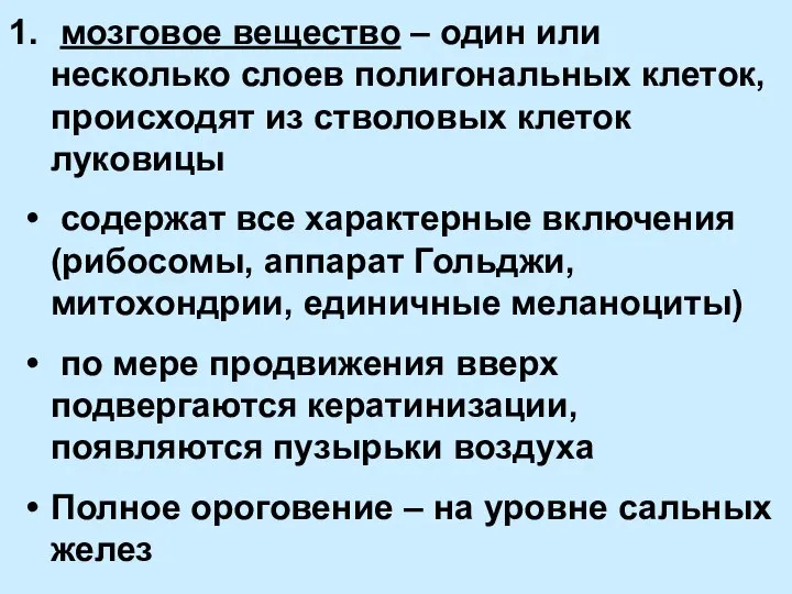 мозговое вещество – один или несколько слоев полигональных клеток, происходят из