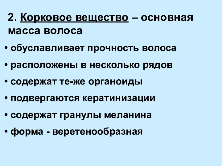 2. Корковое вещество – основная масса волоса обуславливает прочность волоса расположены