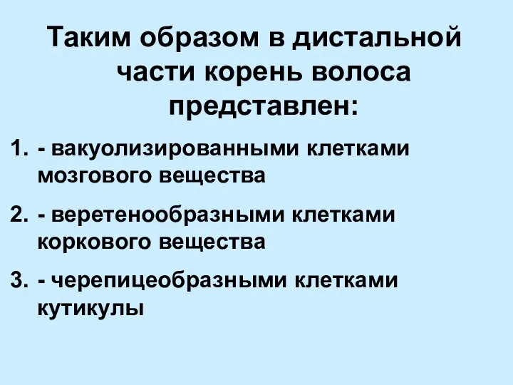 Таким образом в дистальной части корень волоса представлен: - вакуолизированными клетками