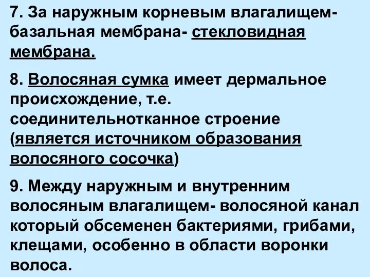 7. За наружным корневым влагалищем- базальная мембрана- стекловидная мембрана. 8. Волосяная