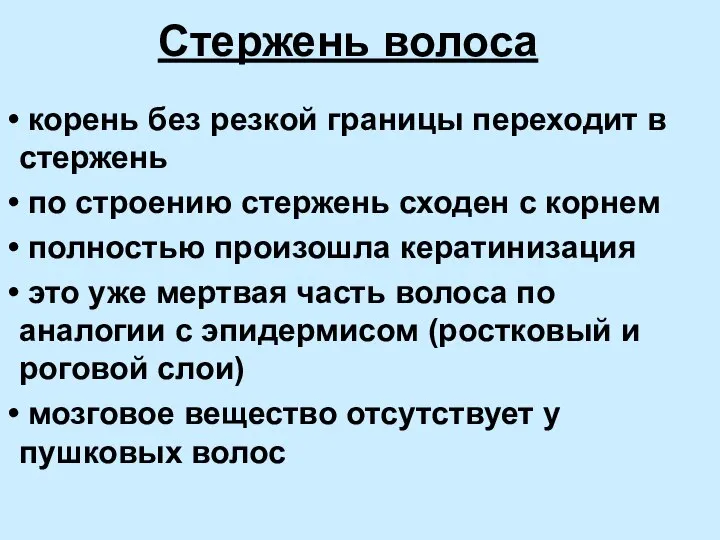 Стержень волоса корень без резкой границы переходит в стержень по строению