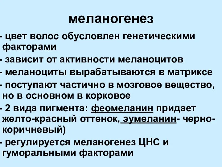 меланогенез цвет волос обусловлен генетическими факторами зависит от активности меланоцитов меланоциты