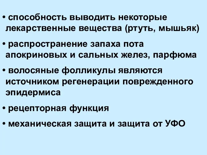 способность выводить некоторые лекарственные вещества (ртуть, мышьяк) распространение запаха пота апокриновых