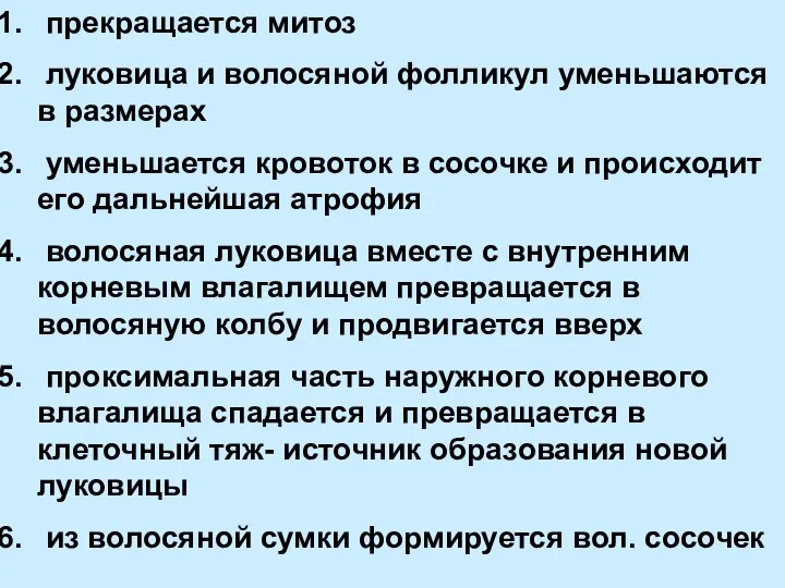 прекращается митоз луковица и волосяной фолликул уменьшаются в размерах уменьшается кровоток