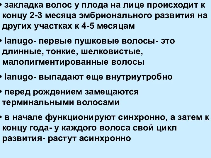 закладка волос у плода на лице происходит к концу 2-3 месяца