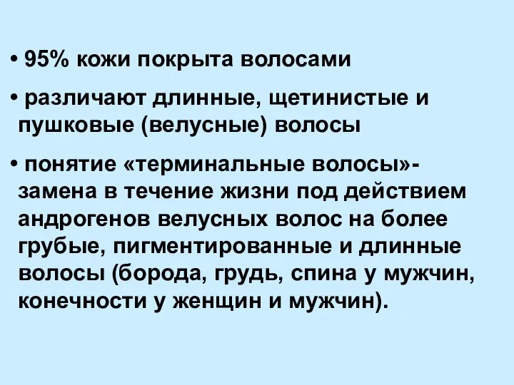 95% кожи покрыта волосами различают длинные, щетинистые и пушковые (велусные) волосы