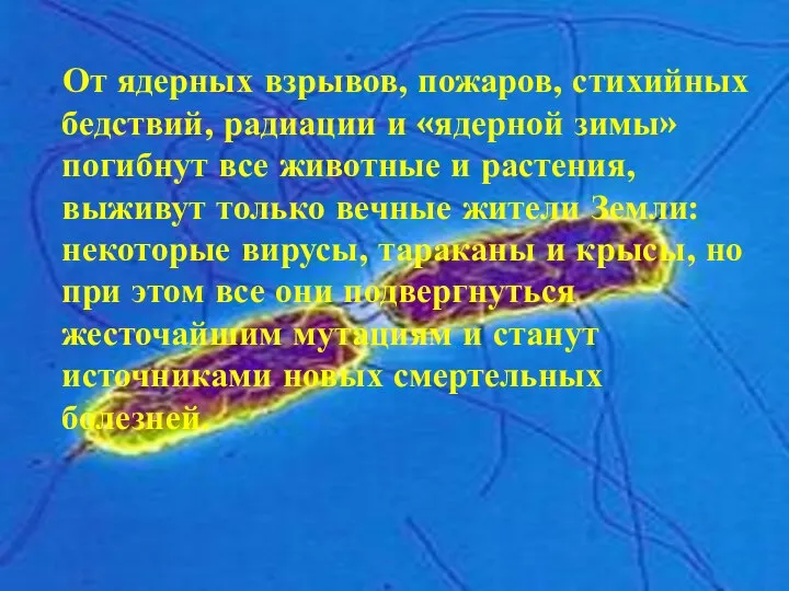 От ядерных взрывов, пожаров, стихийных бедствий, радиации и «ядерной зимы» погибнут