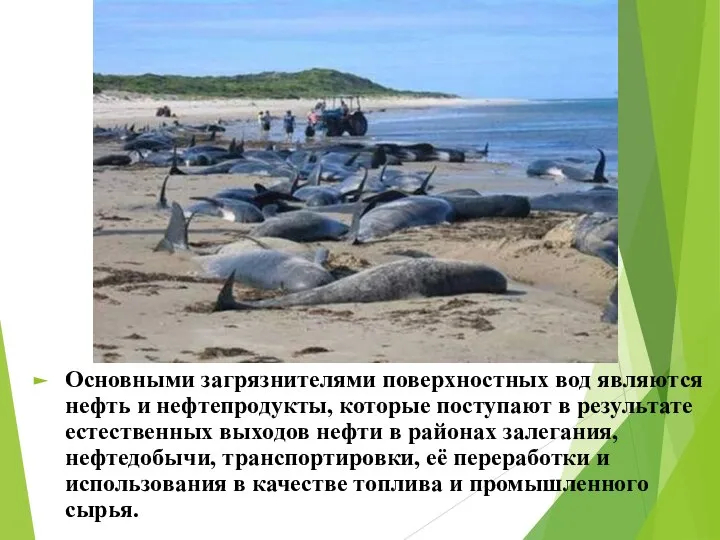 Основными загрязнителями поверхностных вод являются нефть и нефтепродукты, которые поступают в