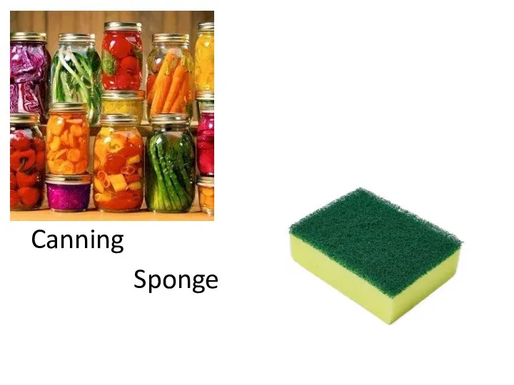 Canning Sponge