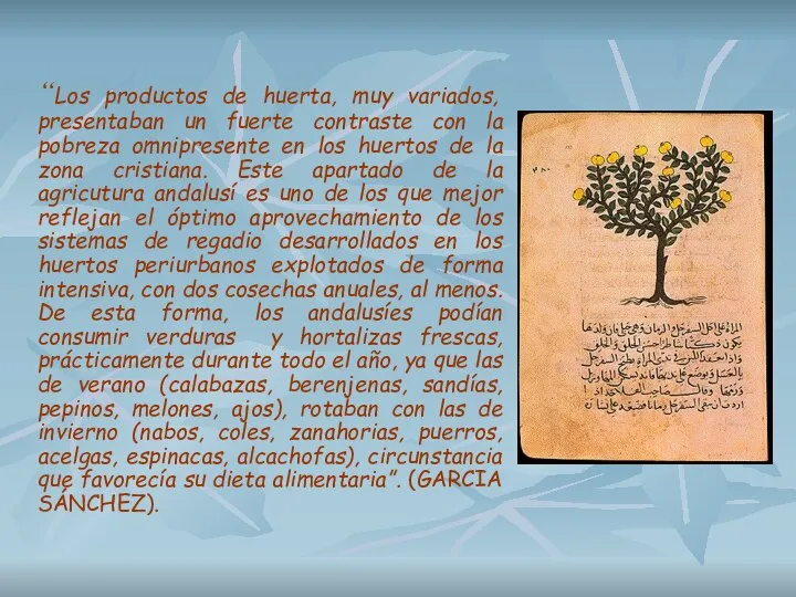 “Los productos de huerta, muy variados, presentaban un fuerte contraste con