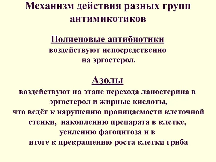 Механизм действия разных групп антимикотиков Полиеновые антибиотики воздействуют непосредственно на эргостерол.