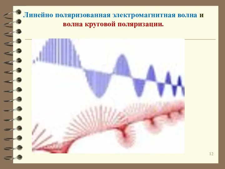 Линейно поляризованная электромагнитная волна и волна круговой поляризации.