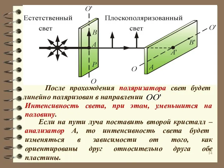 После прохождения поляризатора свет будет линейно поляризован в направлении Интенсивность света,