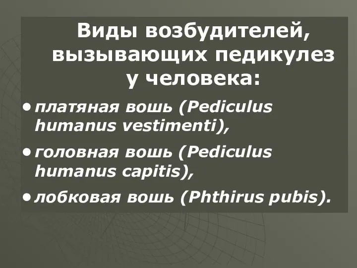 Виды возбудителей, вызывающих педикулез у человека: платяная вошь (Pediculus humanus vestimenti),