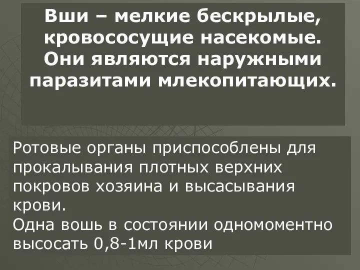 Вши – мелкие бескрылые, кровососущие насекомые. Они являются наружными паразитами млекопитающих.