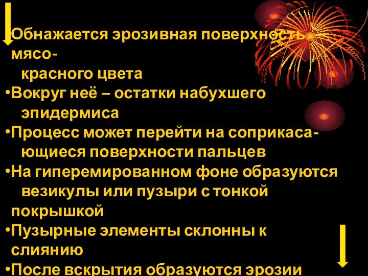 Обнажается эрозивная поверхность мясо- красного цвета Вокруг неё – остатки набухшего