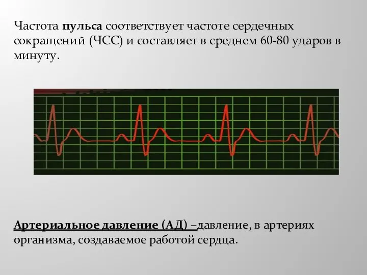 Частота пульса соответствует частоте сердечных сокращений (ЧСС) и составляет в среднем