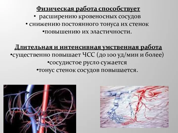 Физическая работа способствует расширению кровеносных сосудов снижению постоянного тонуса их стенок