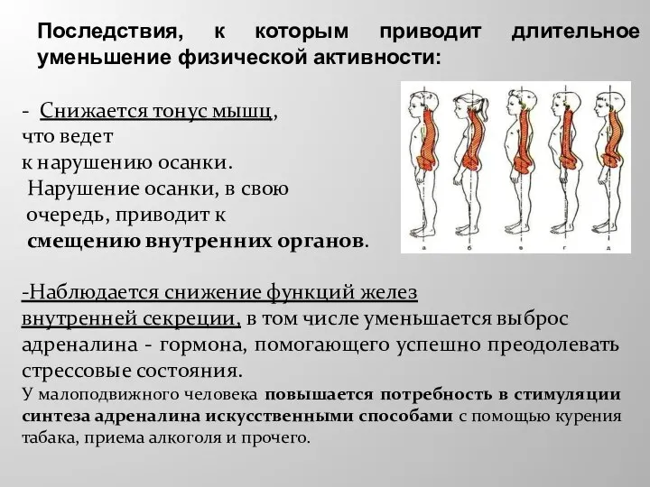 Последствия, к которым приводит длительное уменьшение физической активности: - Снижается тонус