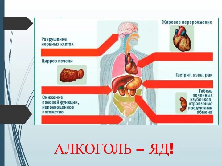 АЛКОГОЛЬ – ЯД!