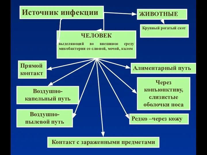 Источник инфекции ЧЕЛОВЕК выделяющий во внешнюю среду микобактерии со слюной, мочой,