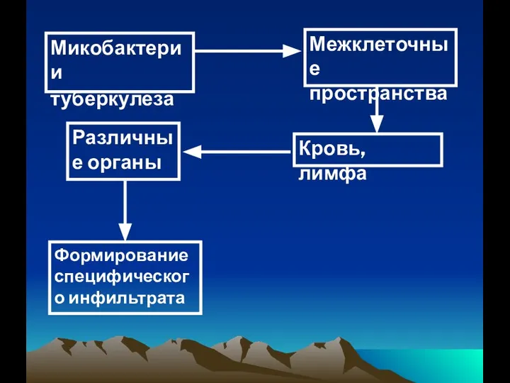 Микобактерии туберкулеза Межклеточные пространства Кровь, лимфа Различные органы Формирование специфического инфильтрата