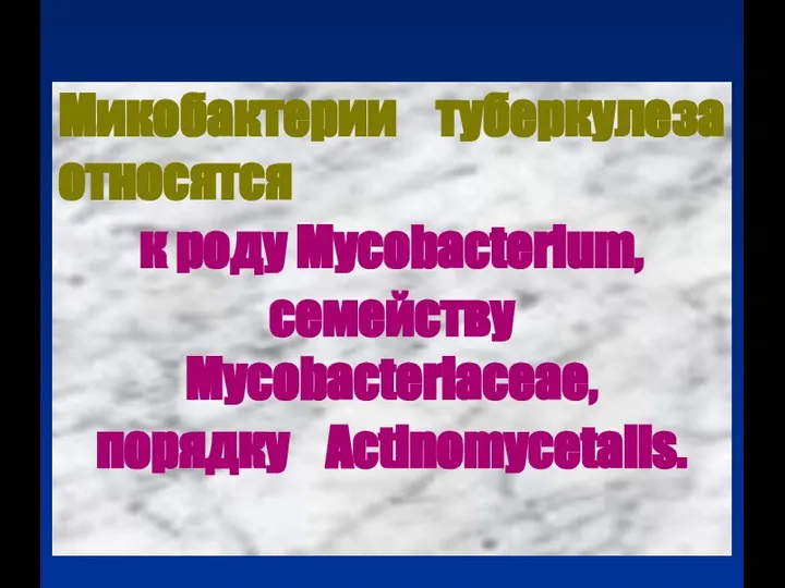 Микобактерии туберкулеза относятся к роду Mycobacterium, семейству Мycobacteriaceae, порядку Actinomycetalis.