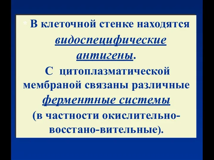 * В клеточной стенке находятся видоспецифические антигены. С цитоплазматической мембраной связаны