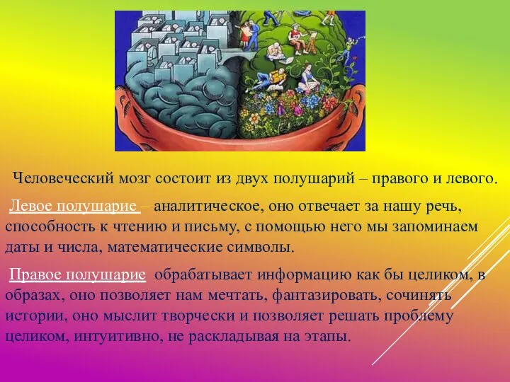 Человеческий мозг состоит из двух полушарий – правого и левого. Левое