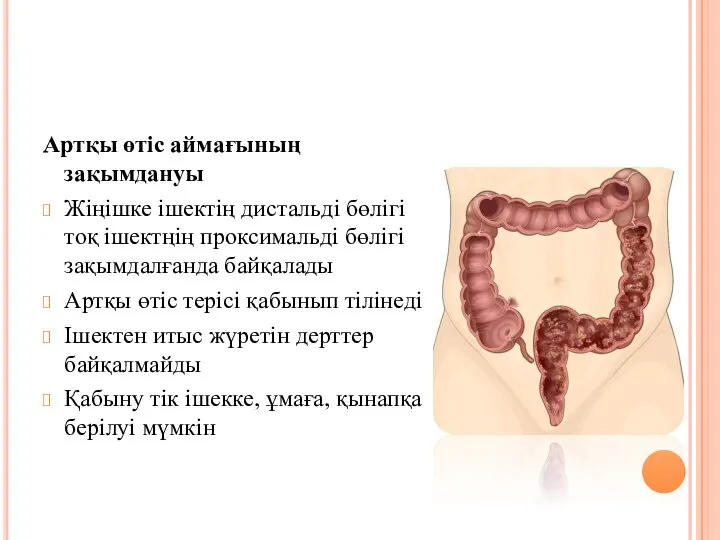 Артқы өтіс аймағының зақымдануы Жіңішке ішектің дистальді бөлігі тоқ ішектңің проксимальді