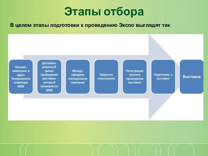 Этапы отбора В целом этапы подготовки к проведению Экспо выглядят так