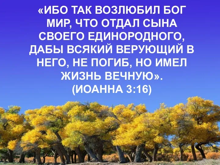 «ИБО ТАК ВОЗЛЮБИЛ БОГ МИР, ЧТО ОТДАЛ СЫНА СВОЕГО ЕДИНОРОДНОГО, ДАБЫ