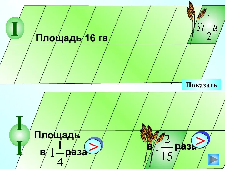 Показать Площадь 16 га II I