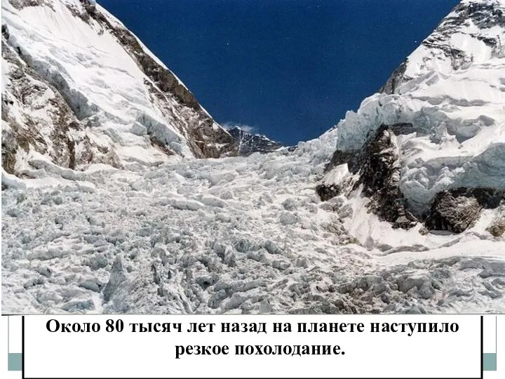 Около 80 тысяч лет назад на планете наступило резкое похолодание.