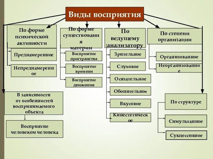 По форме психической активности По форме существования материи По ведущему анализатору