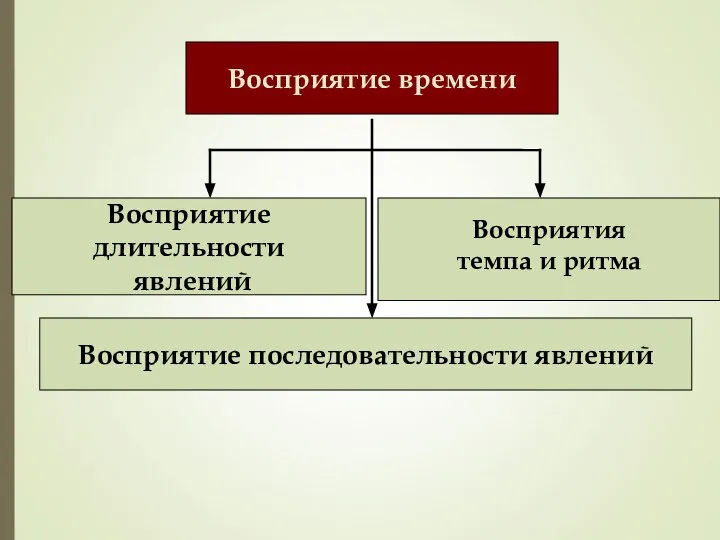 Восприятие времени Восприятия темпа и ритма Восприятие длительности явлений Восприятие последовательности явлений