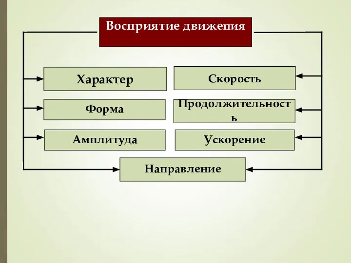 Характер Направление Восприятие движения Форма Продолжительность Скорость Амплитуда Ускорение