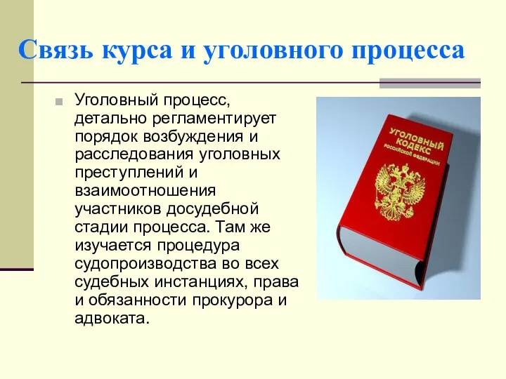 Связь курса и уголовного процесса Уголовный процесс, детально регламентирует порядок возбуждения