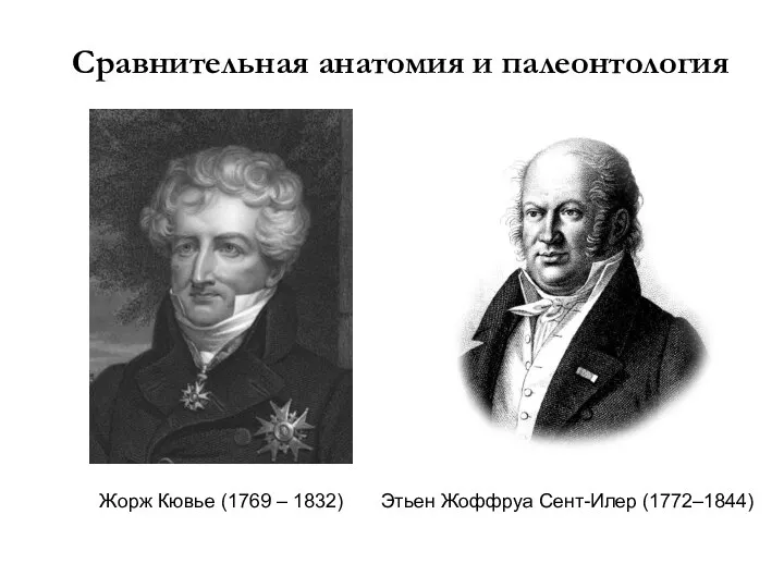 Сравнительная анатомия и палеонтология Жорж Кювье (1769 – 1832) Этьен Жоффруа Сент-Илер (1772–1844)