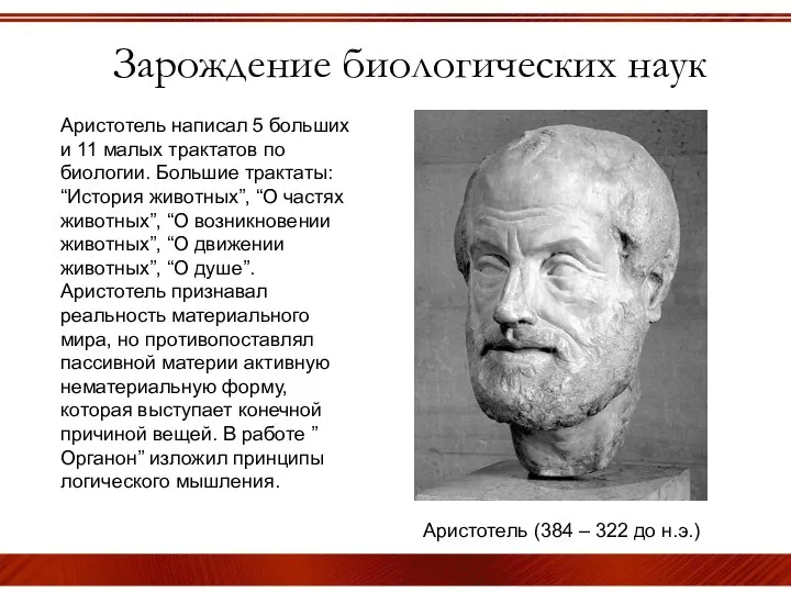 Зарождение биологических наук Аристотель (384 – 322 до н.э.) Аристотель написал