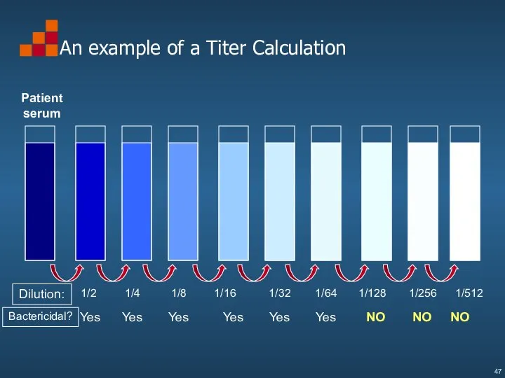 An example of a Titer Calculation Dilution: 1/4 1/8 1/16 1/32