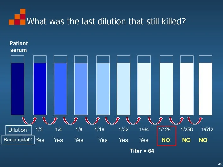 What was the last dilution that still killed? Dilution: 1/4 1/8