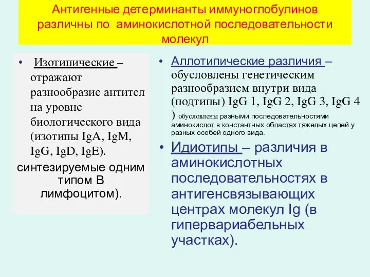 Антигенные детерминанты иммуноглобулинов различны по аминокислотной последовательности молекул Изотипические – отражают