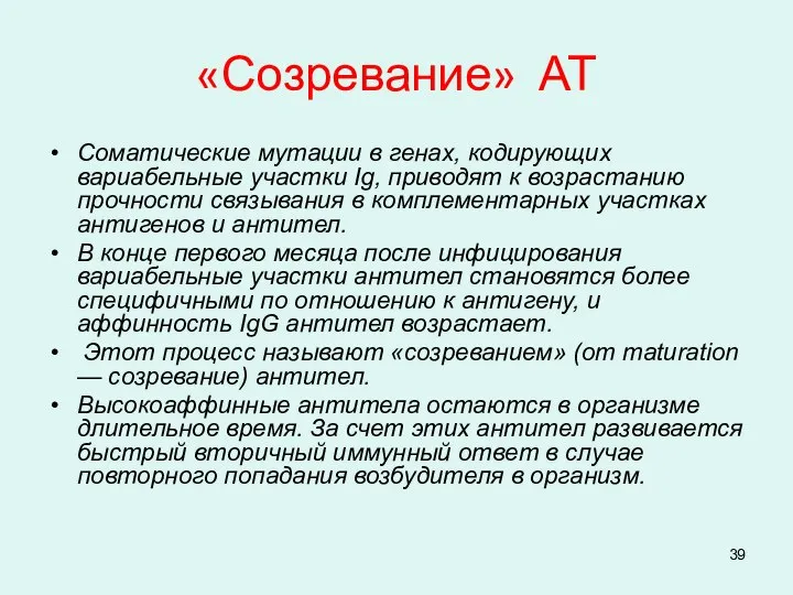 «Созревание» АТ Соматические мутации в генах, кодирующих вариабельные участки Ig, приводят